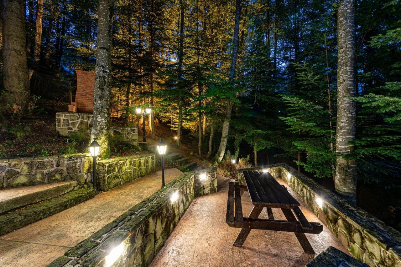 Hotel Regal Sinaia Exterior photo