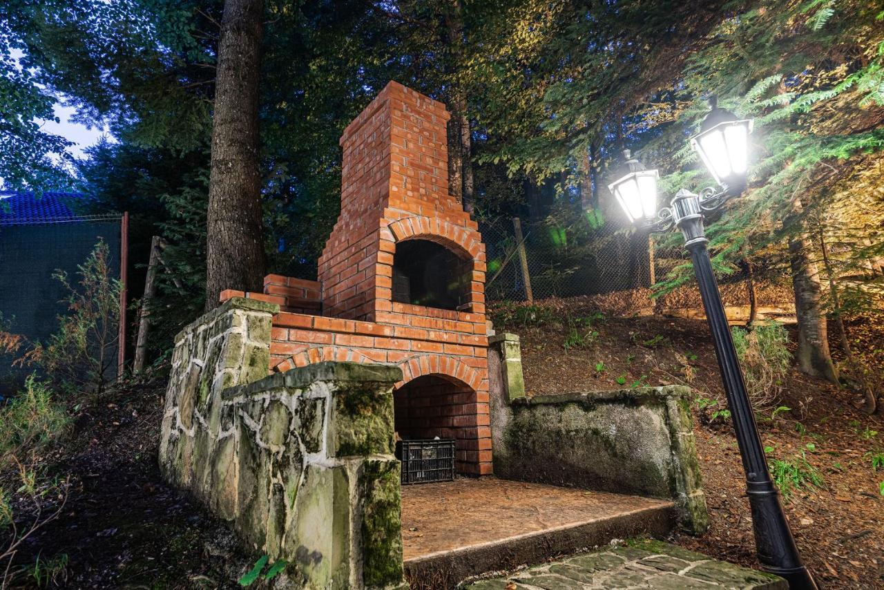 Hotel Regal Sinaia Exterior photo